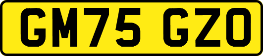 GM75GZO