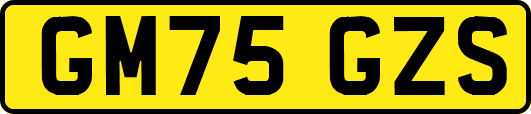 GM75GZS