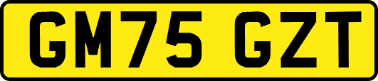 GM75GZT
