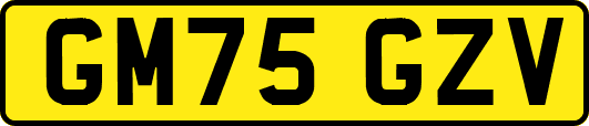 GM75GZV