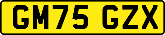 GM75GZX