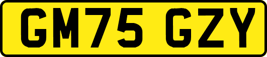 GM75GZY