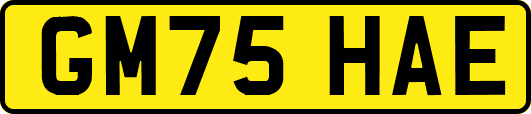 GM75HAE