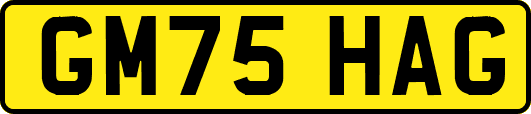 GM75HAG