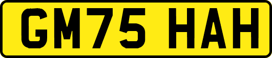 GM75HAH