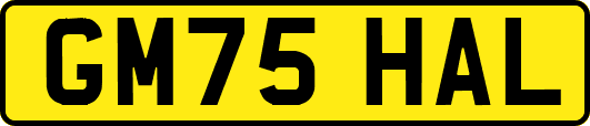 GM75HAL