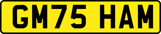 GM75HAM