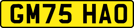 GM75HAO