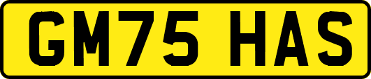 GM75HAS