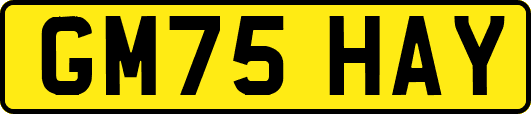 GM75HAY