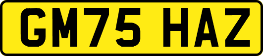 GM75HAZ