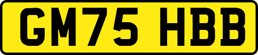 GM75HBB