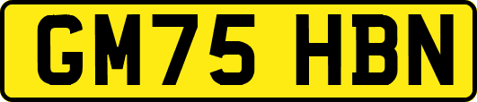 GM75HBN