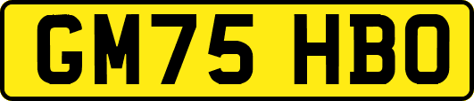 GM75HBO