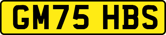 GM75HBS
