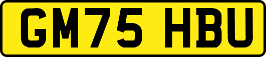 GM75HBU