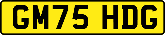 GM75HDG