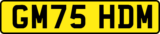 GM75HDM