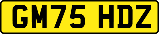 GM75HDZ