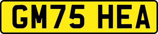 GM75HEA