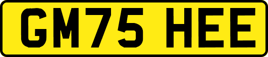 GM75HEE