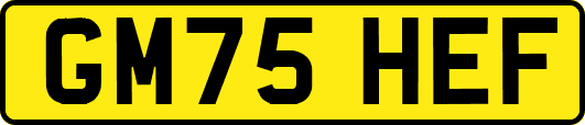 GM75HEF