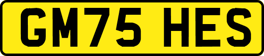 GM75HES