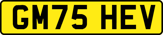 GM75HEV