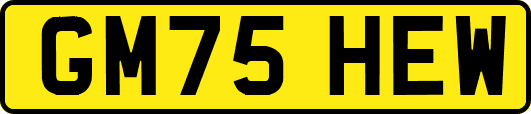 GM75HEW