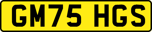 GM75HGS