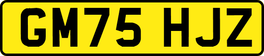 GM75HJZ