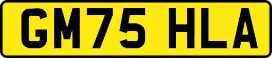 GM75HLA