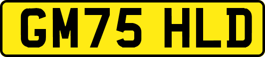 GM75HLD