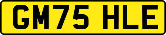 GM75HLE