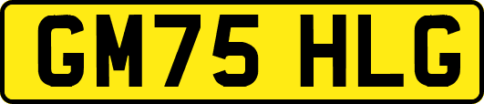 GM75HLG