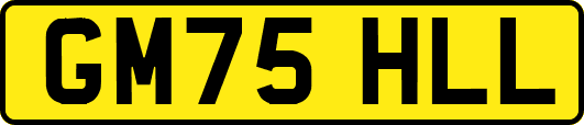 GM75HLL
