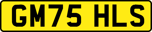 GM75HLS