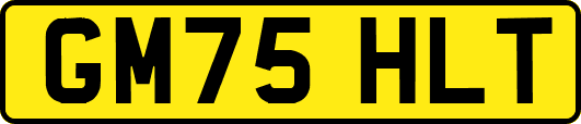 GM75HLT