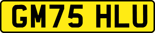 GM75HLU