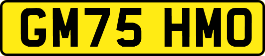 GM75HMO