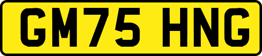 GM75HNG