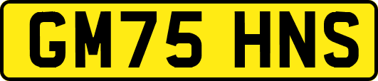 GM75HNS