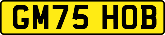 GM75HOB