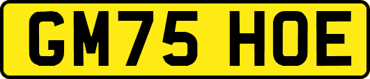 GM75HOE