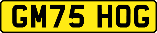 GM75HOG