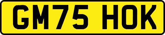 GM75HOK