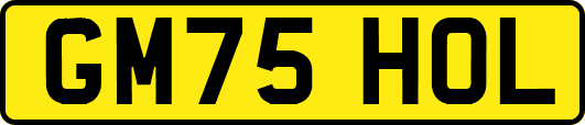 GM75HOL