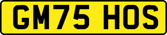GM75HOS