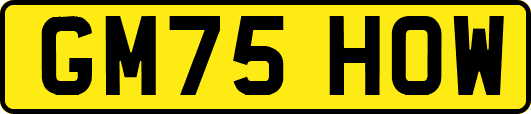 GM75HOW