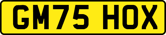 GM75HOX